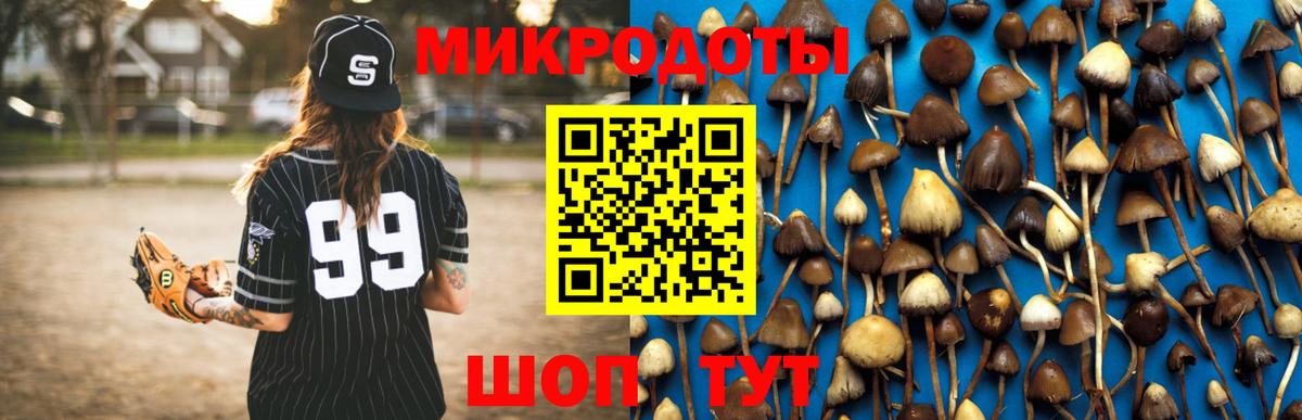 как найти закладки  Псилоцибиновые грибы Magic Shrooms  Вход с VPN  Галлюциногенные грибы мицелий  Киселёвск 